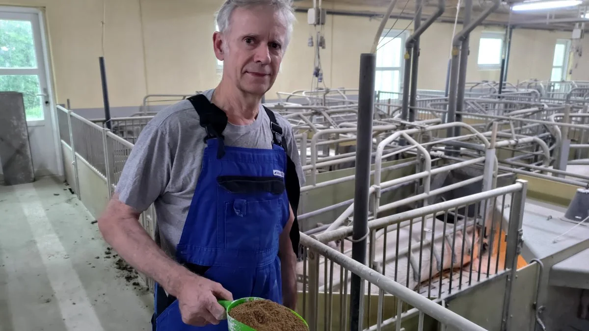 Inden undersøgelsen var det kendt, at Easylin kan nedbringe metan-udledningen fra malkekøer. For Bent Munk og hans søn Peter forekom det logisk, at det samme måtte gøre sig gældende for grise. Foto: Nordan AgriCore