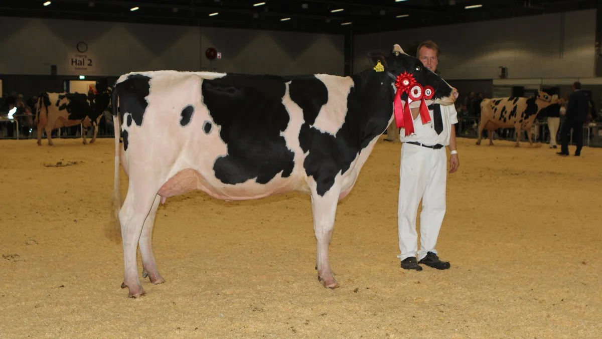 Bedste yngre DH: 25835-04819, Tatoo-datter fra Raunhøj Dairy, Hjortshøj 
