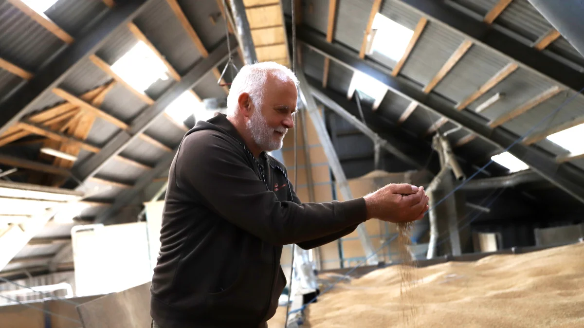 Planteavler Jens Knudsen er steget cirka to tons i udbytte i vårbyg og omkring et ton i hvede, siden han gik over til pløjefri dyrkning i 2009. Foto: Anne Kjærsgaard Krogh