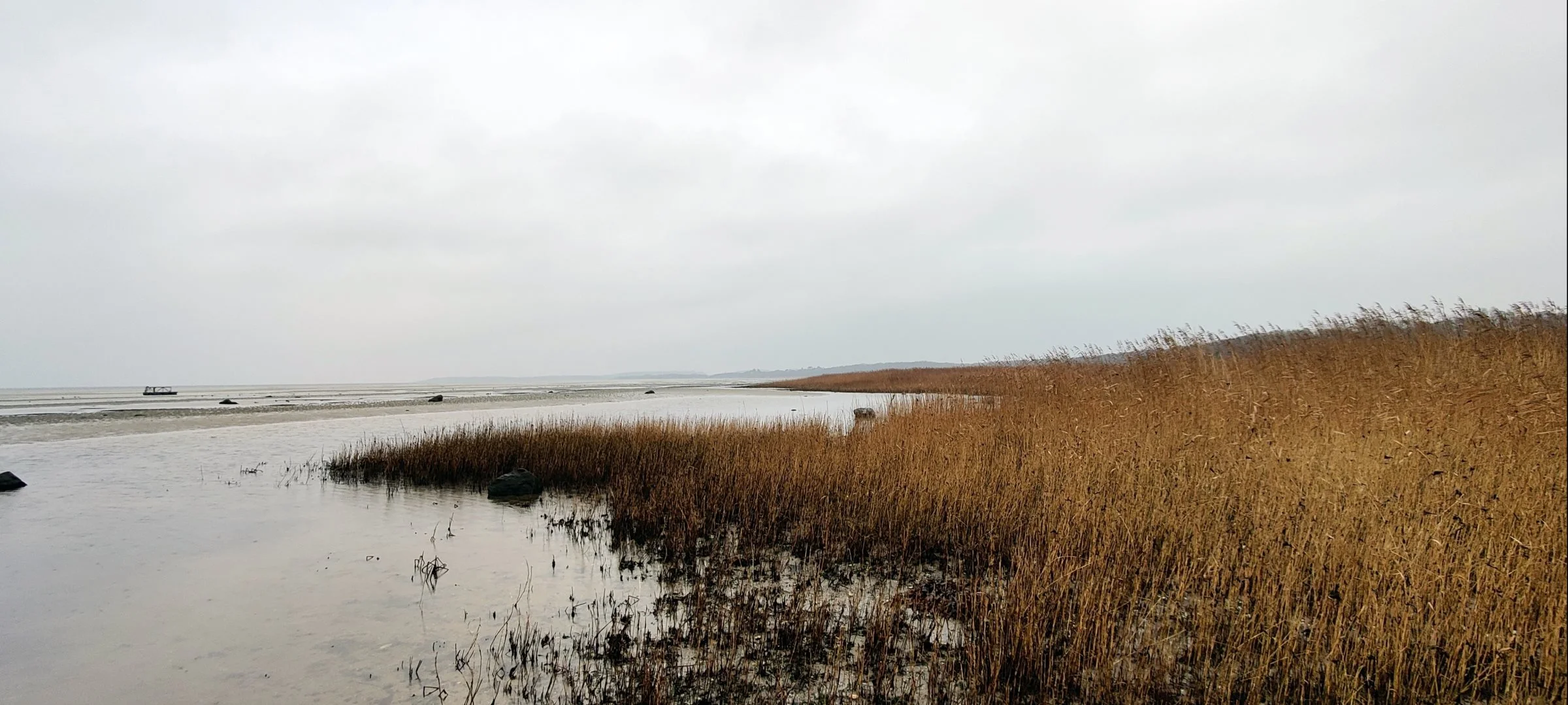 Isefjorden er kommet på »den sorte liste« i de nye vandplaner. Arkivfoto