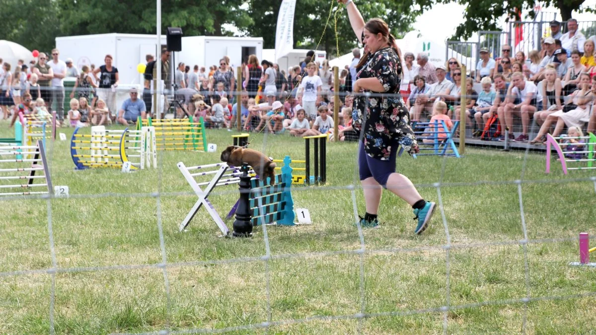 Roskilde Dyrskue er igen nomineret til »Bedste Børnevent 2018«. Sidste år var Roskilde Dyrskue så heldige at vinde prisen.