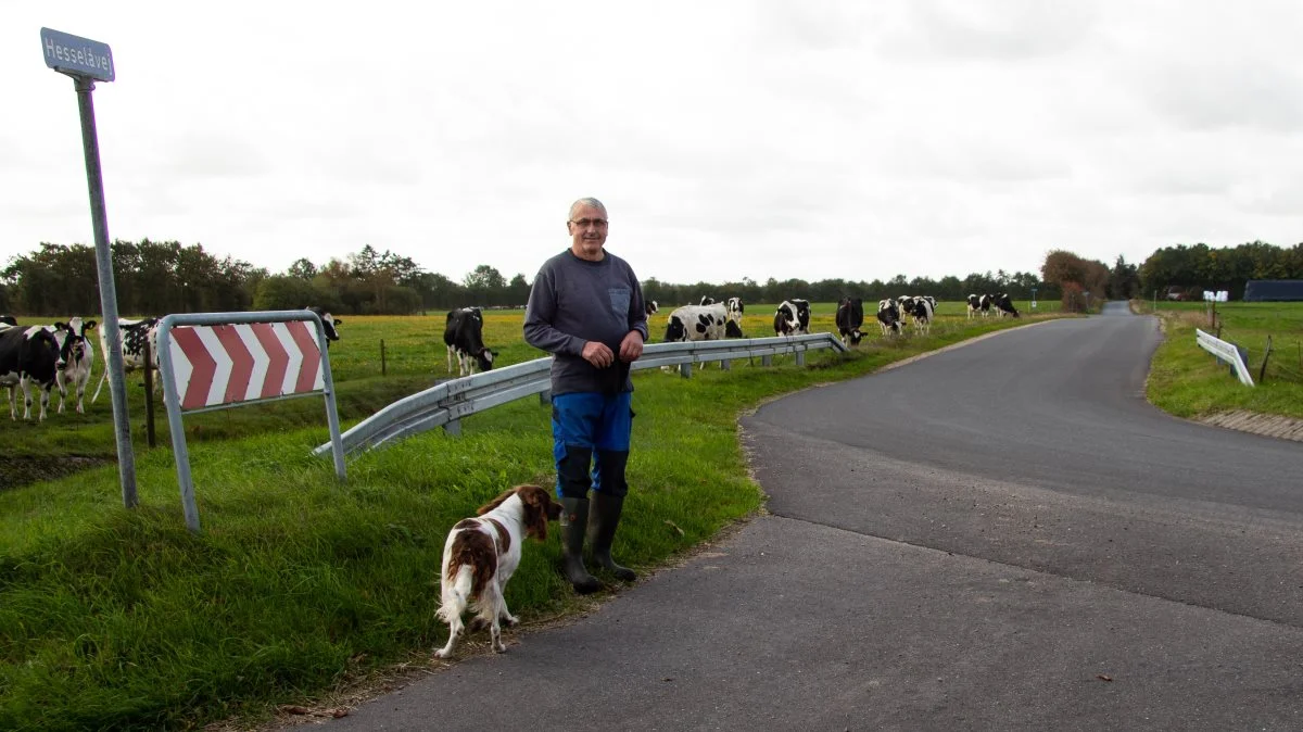 Helge Nielsen glæder sig til at byde velkommen til DM i pløjning på sin økologiske mælkekvægsbedrift i Skave udenfor Holstebro. Fotos: Henning K. Andersen