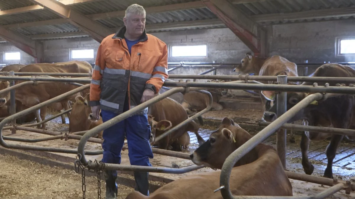 Bent Juul Sørensen er eneste praktiske landmand, som figurerer på de fynske stemmesedler ved det forestående folketingsvalg. Den tidligere mejeriformand stiller op for Danmarksdemokraterne. Foto: Erik Hansen  