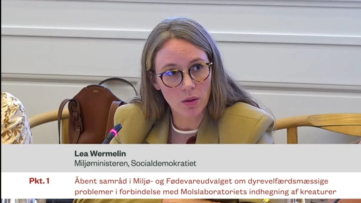 Miljøminister Lea Wermelin er kommet igennem med en dispensation fra dyrevelfærdsloven, der reelt fratager dyr rettigheder, mener læserbrevskribenten. Her ses miljøministeren under samrådet den 14. september. 