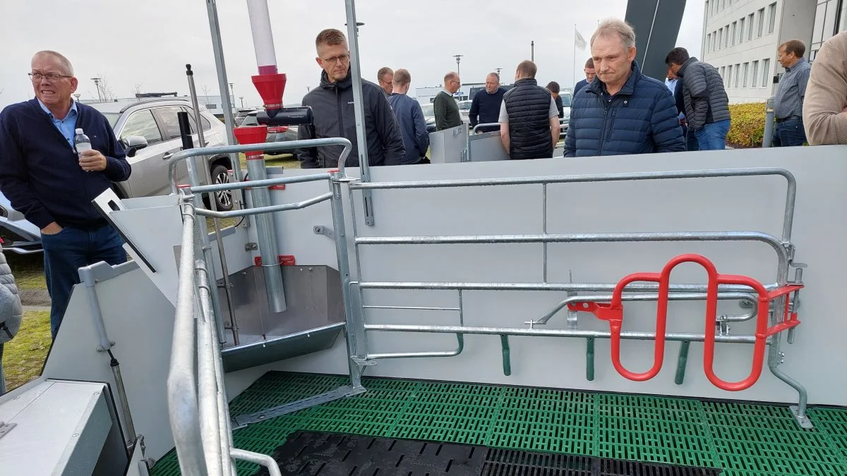 Det er ikke så ligetil med miljødelen, når der ønskes projekter med løse søer i farestalden.