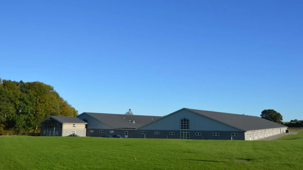 Tandergård ved Mårslet har det seneste år medvirket i et forsøg, hvor formålet var at undersøge, om der kunne påvises en emissionsreduktion fra farestalden ved anvendelse af et tilskudsfoder. Fotos: Camilla Bønløkke