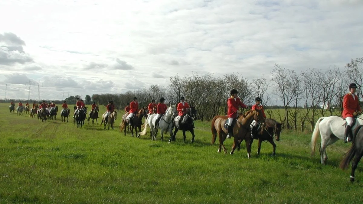 Omkring 80 ryttere deltager i den traditionsrige Hubertusjagt i Dyrehaven søndag den 6. november. Arkivfoto: Svend Erik Christensen