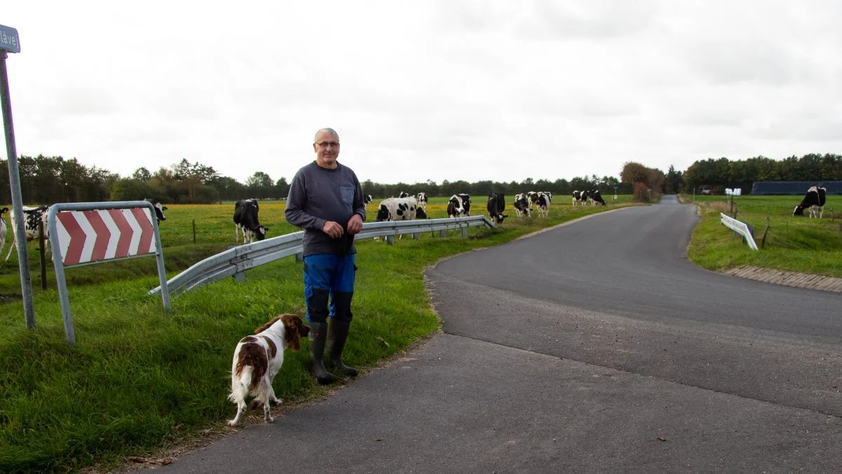 Helge Nielsen, St. Hessel udenfor Holstebro, lægger jord til årets DM i pløjning. Han er økologisk landmand til daglig. Foto: Henning K. Andersen