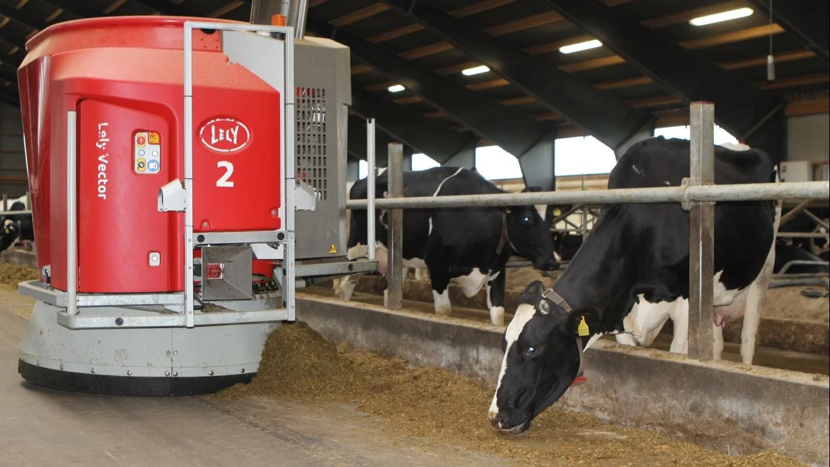 Ole Larsen opnår med Lely Vector-systemet 95 procents nøjagtig fodring af sine køer. Fotos: Line Brusgaard