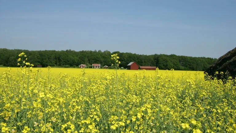 Foto: Karsten Himmelstrup