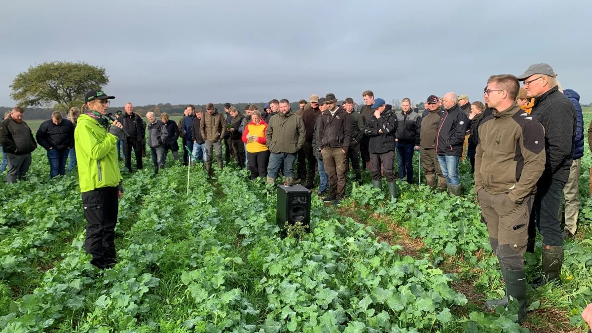 Efter cirka halvanden time i maskinhuset drog deltagerne på markvandring – med to forskellige poster, hvor det blandt andet handlede om companion crops og rækkesprøjtning. Foto: Jesper Hallgren