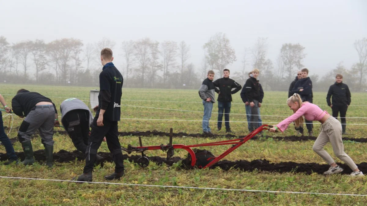 Deltagerne ved DM i skolepløjning skulle blandt andet trække en plov med håndkraft ved Farmer-OL. Her er det deltagere fra Agroskolen i Herning, der er i aktion. Fotos: Henning K. Andersen