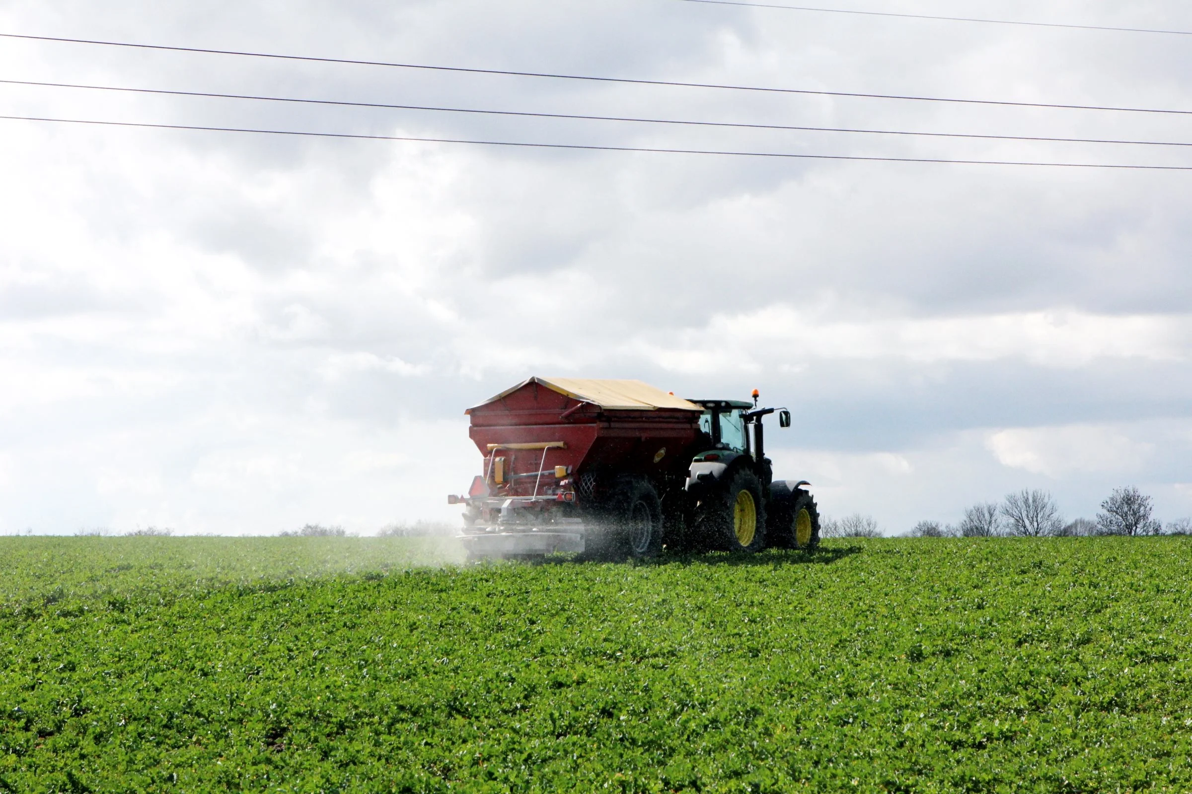 Har man 36 meter mellem køresporene, vil det være nødvendigt at køre mellem køresporene for at sprede urea. Foto: Bøje Østerlund