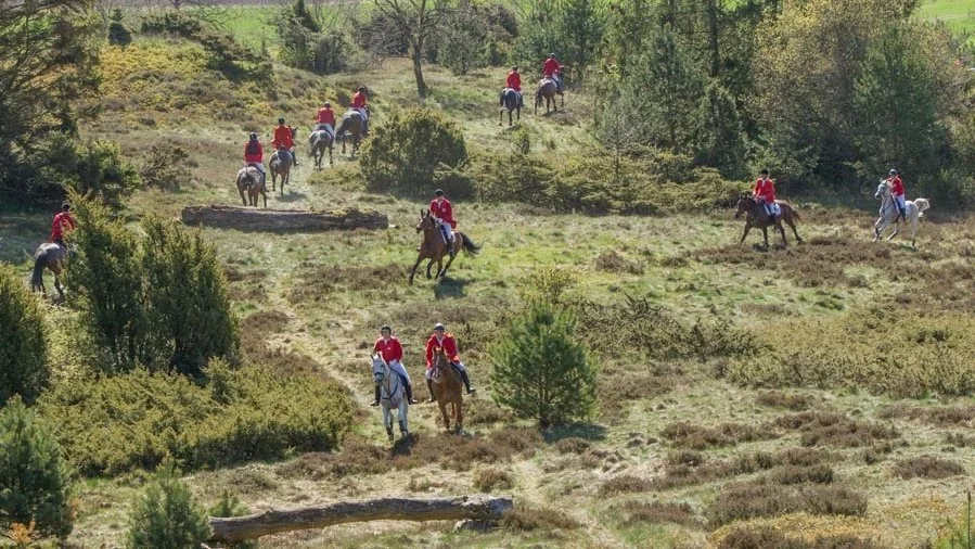 Den traditionsrige Hubertusjagt, der kendes for ryttere i elegante røde jakker, afholdes i ulige år på området omkring Gammel Estrup og Det Grønne Museum. Foto: Jysk Jagtrideklub
