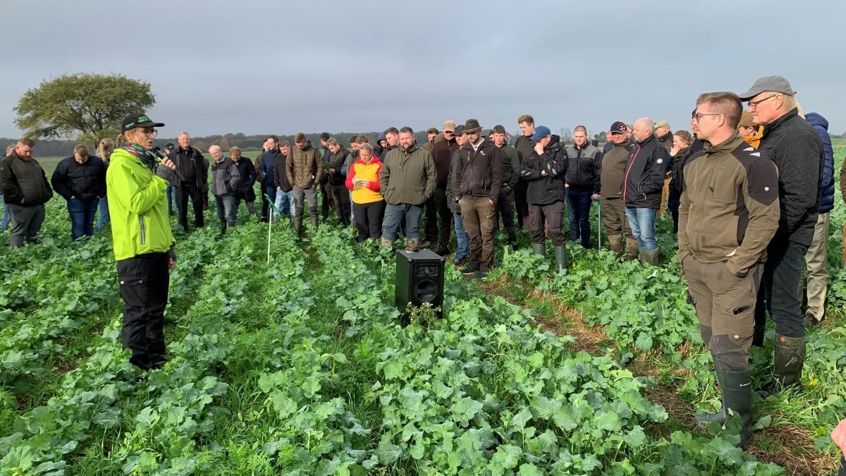 Efter cirka halvanden time i maskinhuset drog deltagerne på markvandring – med to forskellige poster, hvor det blandt andet handlede om companion crops og rækkesprøjtning. Foto: Jesper Hallgren