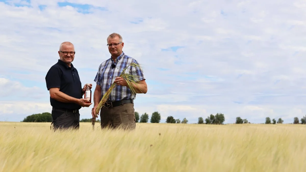 Jes Mosgaard (tv) fra Mosgaard Whisky og Jørgen Elgaard (th) fra Hesselagergaard Gods på Sydøstfyn har netop lavet en aftale om direkte salg fra gods til destilleri. Foto: Velas