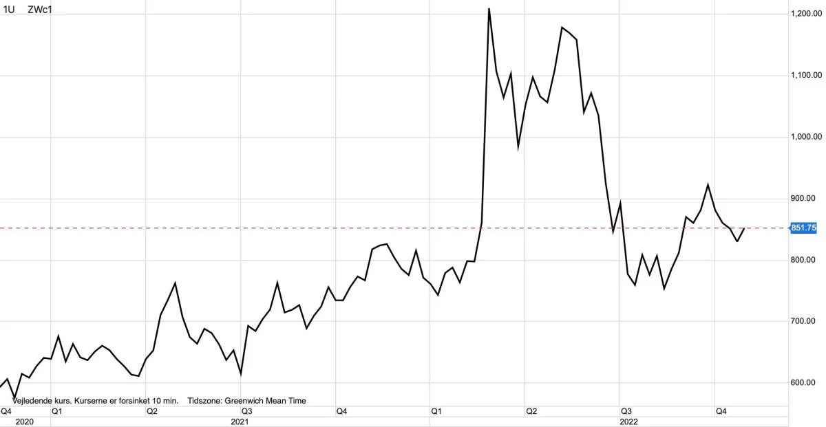CBOT-hvede i US-cent pr. bushel

Prisen for hvede på afgrødebørsen i Chicago holder sig pænt oppe. Dette skyldes blandt andet, at kvaliteten af landets vinterhvede er i en ganske enkelt dårlig tilstand.
