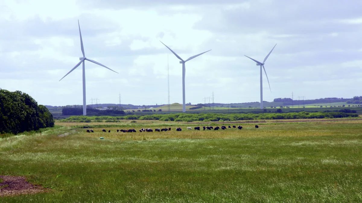 Jeg anbefaler altid den enkelte landmand, at vi først analyserer behovet for energi inden der tænkes i løsninger, siger energirådgiver i LandboNord, Leif Köhne.