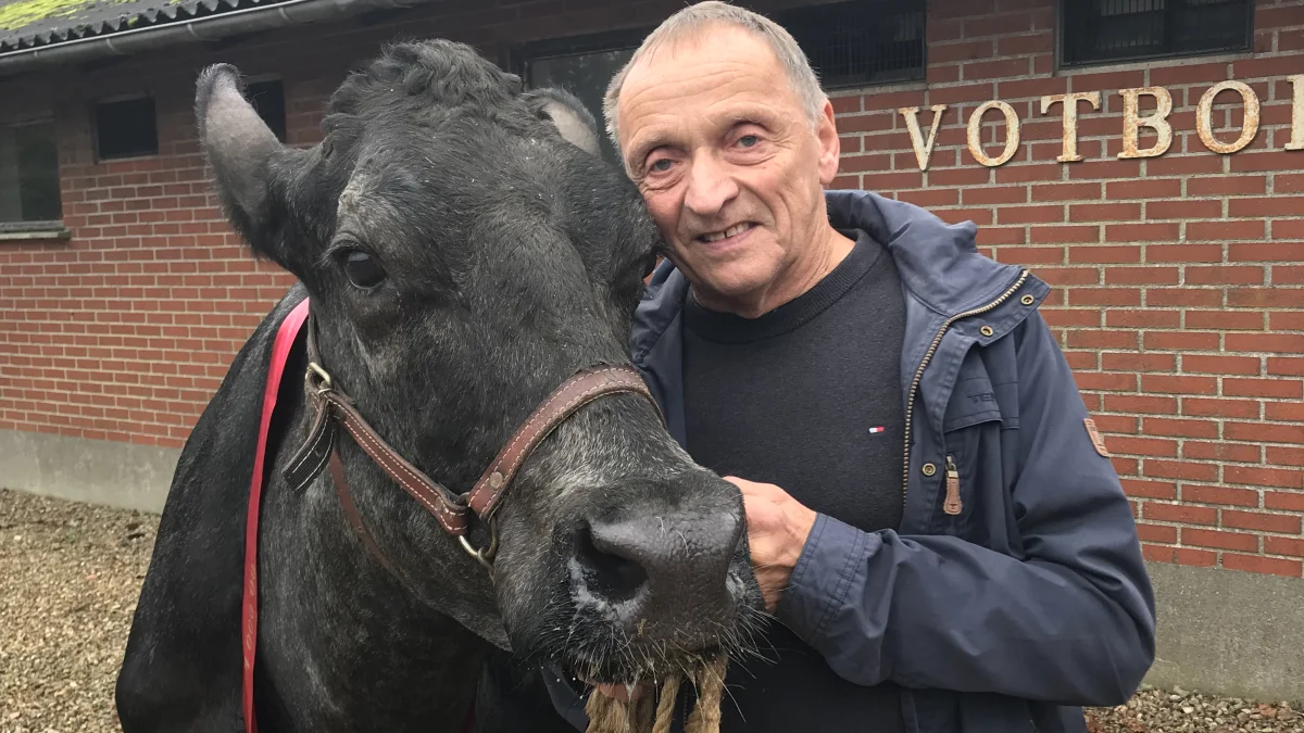 Herman Iversen og ko 2235 har fulgt hinanden i tykt og tyndt i mere end 18 år. Det er blevet til mere end 200.000 kg, og mere end 170 gange hun er blevet kontrolleret i ydelseskontrollen.