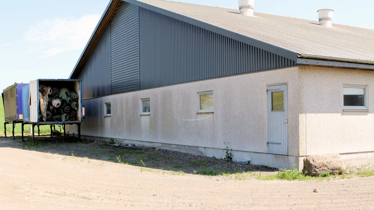 Det var ved denne svinestald, at den ulovlige indtrængning fandt sted i 2019. Arkivfoto