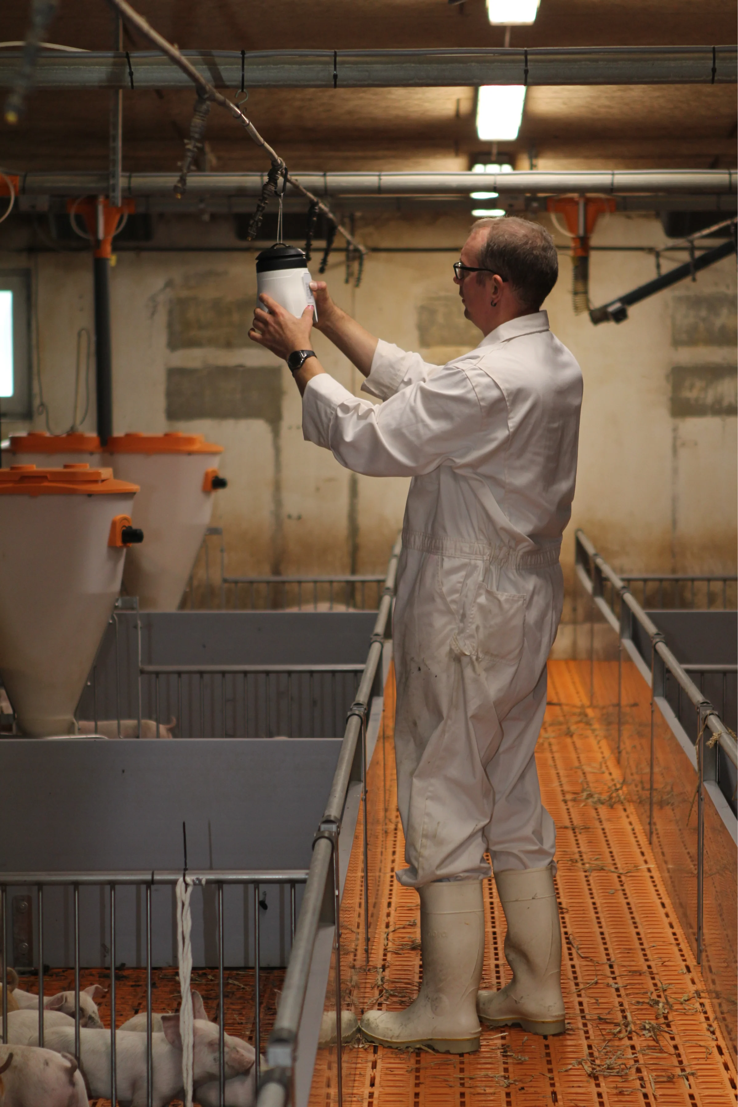 Peter Grünfeld hænger en AirPrep Cub Sampler i en staldsektion. Den skal suge luft ind fra stalden i ½ time, og derefter skal indholdet analyseres for virus og bakterier i luften.