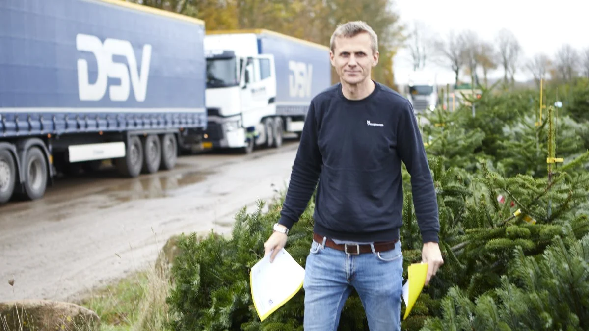 Uden overtøj har direktør Carl Johan Klarskov Larsen travlt med at ekspedere de ventede lastbiler ved det fynske familiefirma, inden de skal læsses med juletræer til franske havecentre og supermarkeder.
