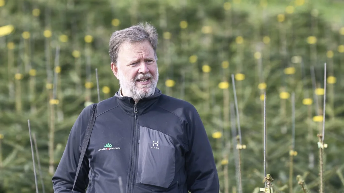 Trods et lidt mindre udbud på markedet, kan det ikke kompensere for de ekstra omkostninger og inflationen, vurderer direktør Claus Jerram Christensen, Danske Juletræer.