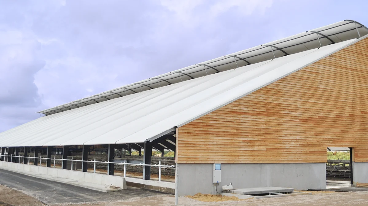 Eksempel på Uniqcover-tagdug på en kvægstald ved Varde. Foto: Uniqcover