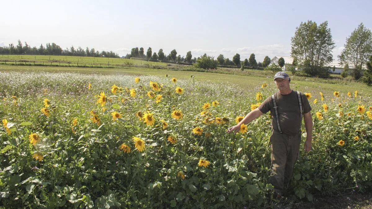 Som formand for shopFRDK-udvalget afslutter Torben Bay Jørgensen selv fremvisningen. Han har udover efterårssåede parceller også udsået vildt- og blomsterblandinger i foråret. De vil formodentligt stadig blomstre ved besøget 7. november.