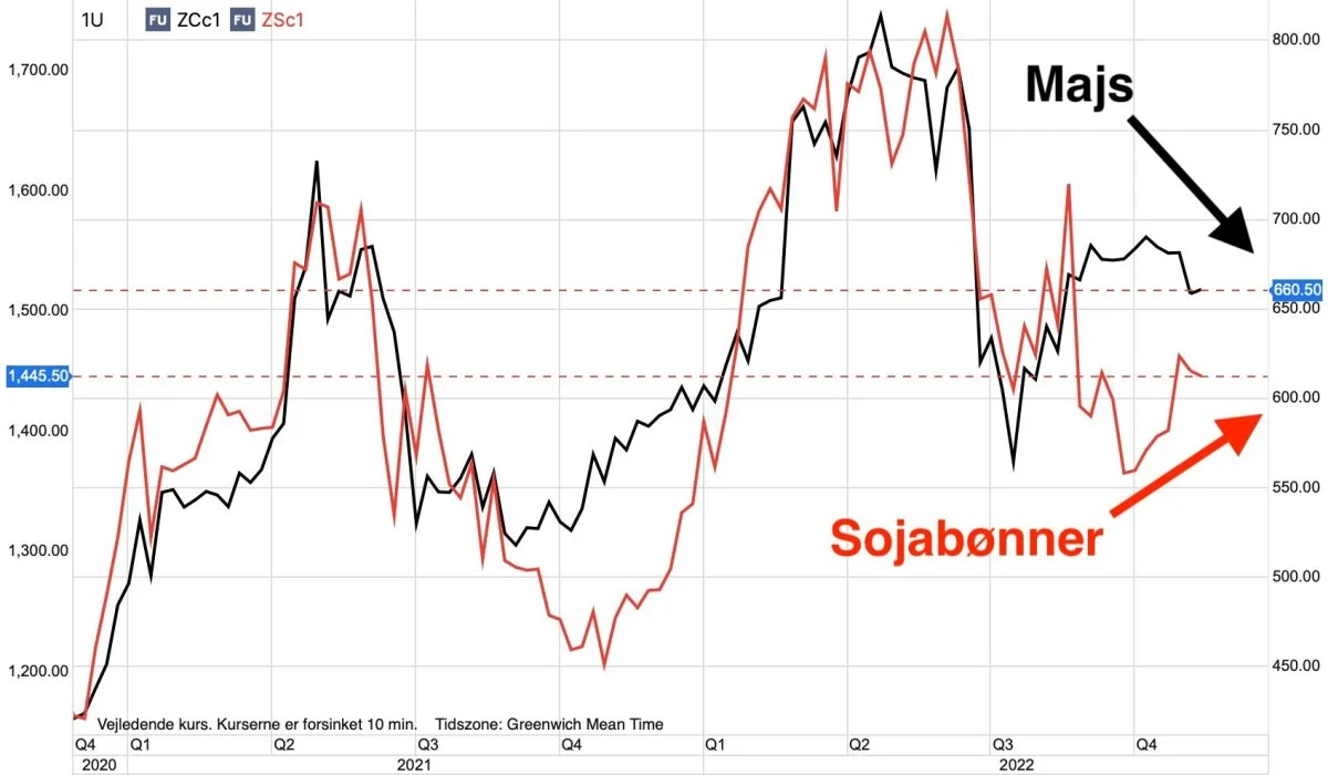CBOT-majs vs. sojabønner i US-cent pr. bushel

Prisen for sojabønner på afgrødebørsen i Chicago holder sig godt oppe, imens prisen for korn og, herunder blandt andet majs, er begyndt at se noget mere tung ud. 