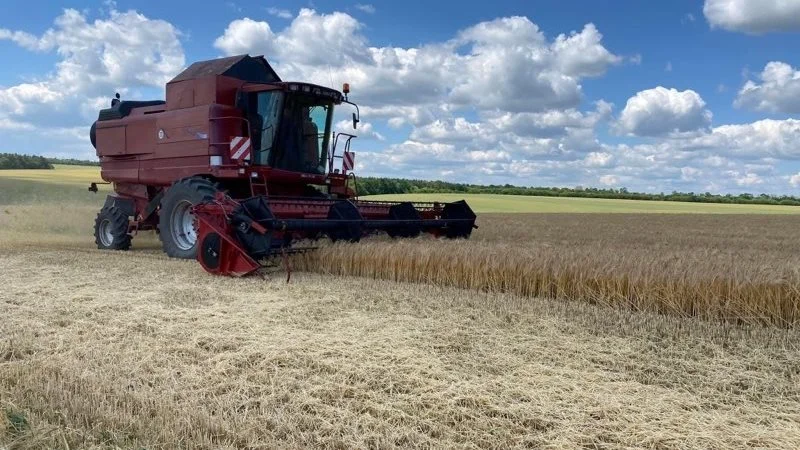 Trods krigen har landmænd været i stand til at få høsten i hus mange steder i Ukraine. Billedet her stammer fra 2022-høsten af vinterhvede hos Cormall Agro Holding. Foto:: Kim Nielsen