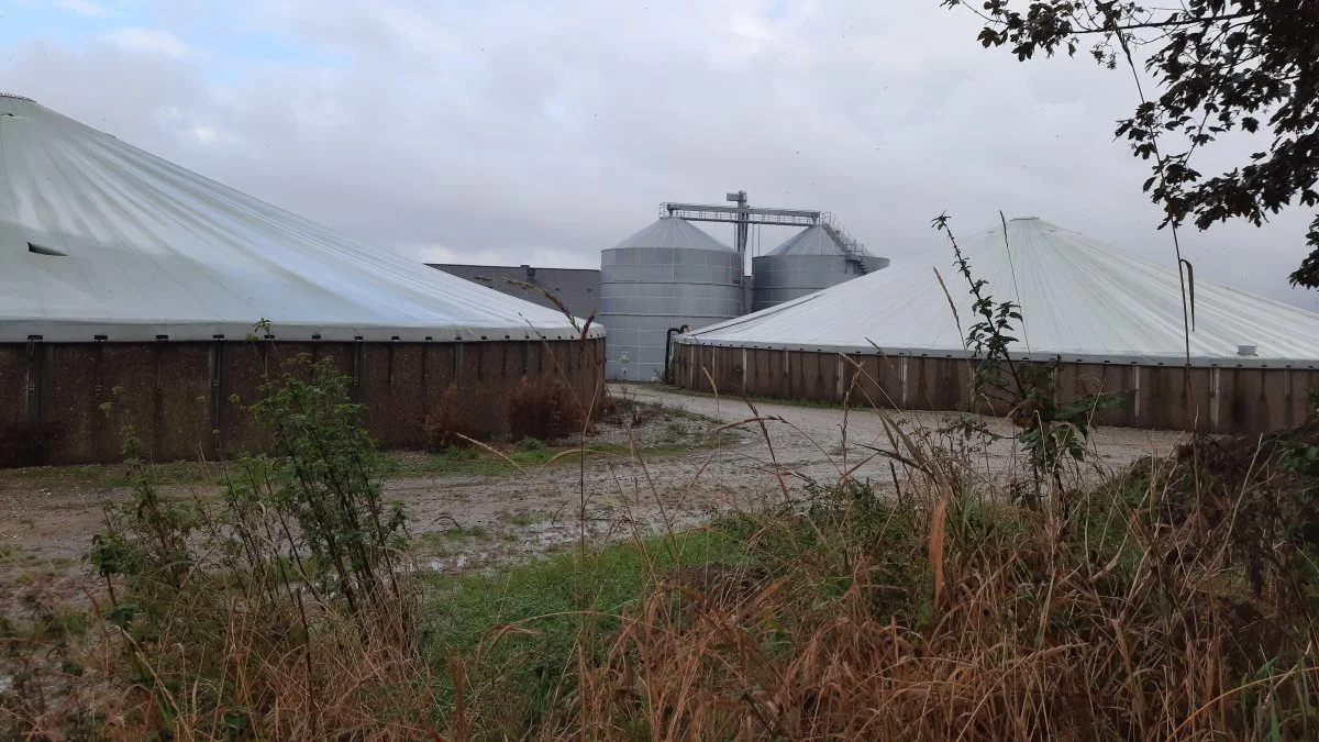 For at give de nye og gamle tanke et ensartet udtryk har Niels Aage Arve valgt facader med søsten. Hør mere om tankprodukterne fra A-Consult på Agromek. Arkivfoto: Velas