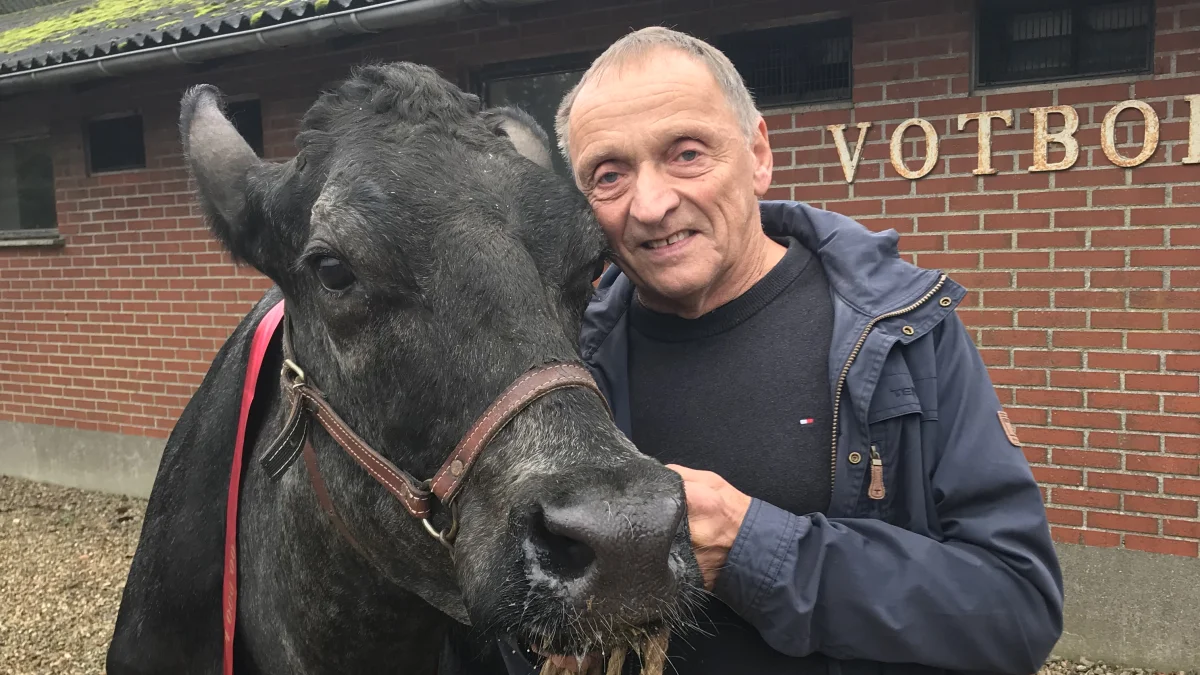 Herman Iversen og ko 2235 har fulgt hinanden i tykt og tyndt i mere end 18 år. Det er blevet til mere end 200.000 kg, og mere end 170 gange hun er blevet kontrolleret i ydelseskontrollen.