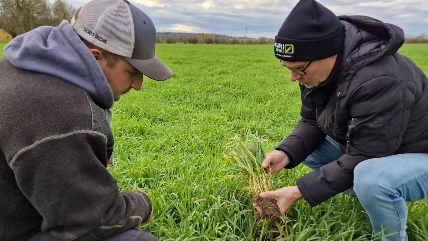 - Vi vil gerne kunne vækstregulere korn i et efterår som i år. Men der findes ikke nogen godkendte midler hertil, fortæller planteavlsrådgiver Hans Jørgen Bak (th.), Agriadvice - her med Martin Hjaltelins (tv.) kraftige vinterbyg. Fotos: Jørgen P. Jensen
