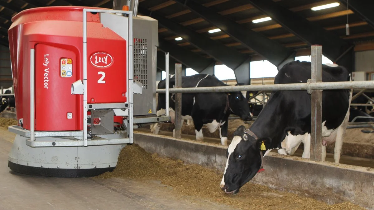 Ole Larsen opnår med Lely Vector-systemet 95 procents nøjagtig fodring af sine køer. Fotos: Line Brusgaard