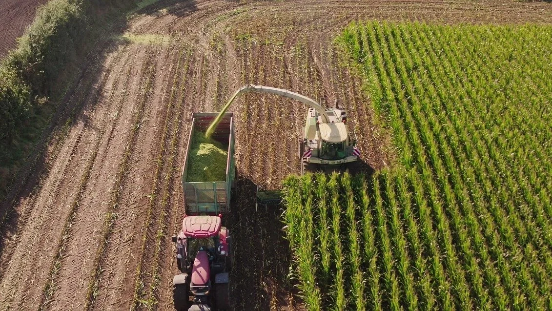 Foto: Syngenta