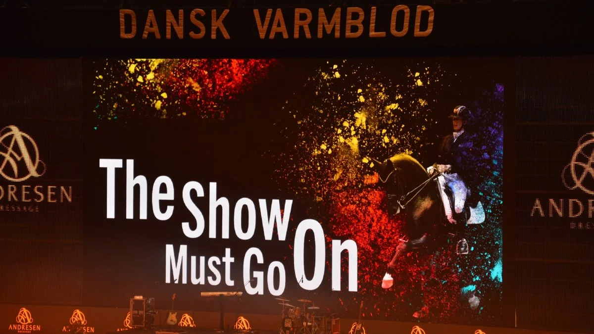 Dansk Varmblods Hingstekåring 2023 finder sted fra den 8.-12. marts. Arkivfotos: Camilla Bønløkke