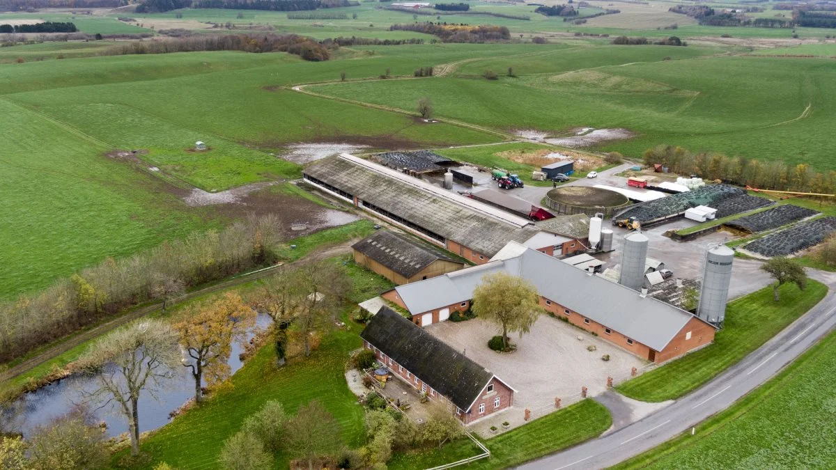 Der er ikke mange økologiske ejendomme på markedet, der har så stor en grad af selvforsyning, som den 298 hektar store gård ved Hobro har. Foto: EDC Videbæk Landbrug