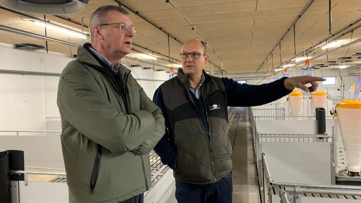 Erik Bredholt, formand for Danish Crown (tv.), fik en rundvisning af ejeren af Egemarke Gods, Claus Lohmann Poulsen, inden han efterfølgende holdt en tale i det nye staldanlæg. Foto: Jesper Hallgren