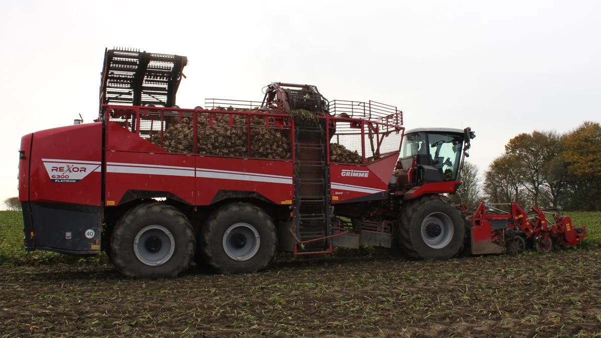 Vejrbetingelserne har været ideelle i denne sæson, så mange har lavet et godt høstarbejde i markerne. Foto: DLF Beet Seed