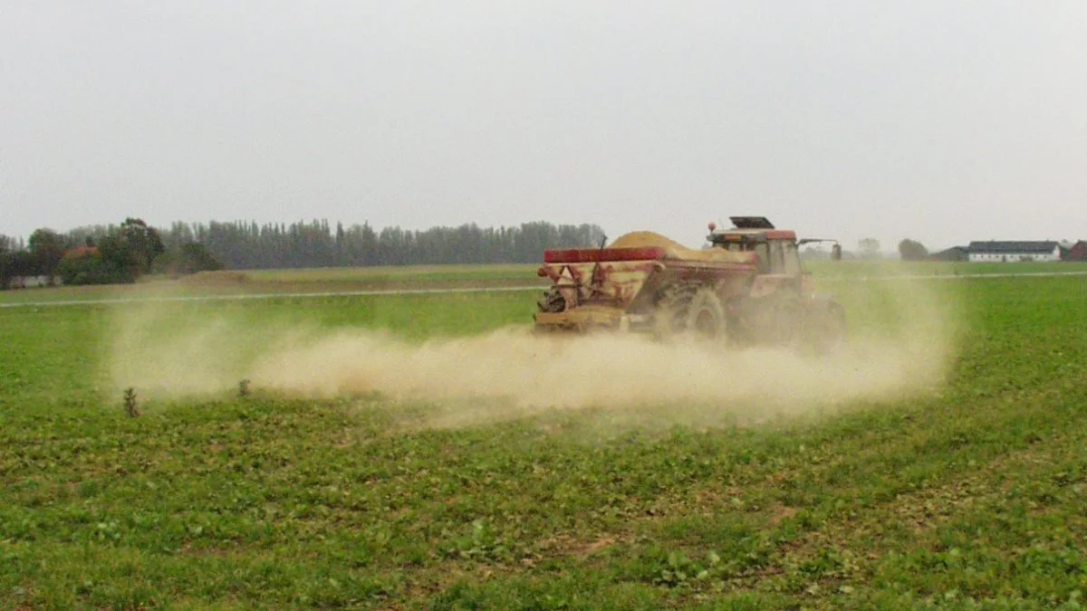 Carbokalk kan opbevares i marken som en markstak, og kan udbringes med en almindelig spreder. Foto: Agricentret ved Nordic Sugar