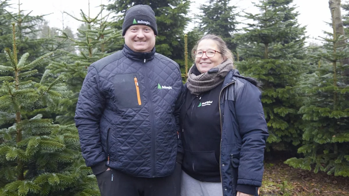 Med flyttekasser op over begge øre åbnede Heidi Lindgaard og Jesper Tøttrup dørene til julestue og salg af juletræer to dage efter, de havde overtaget nøglerne. Fotos: Tenna Bang