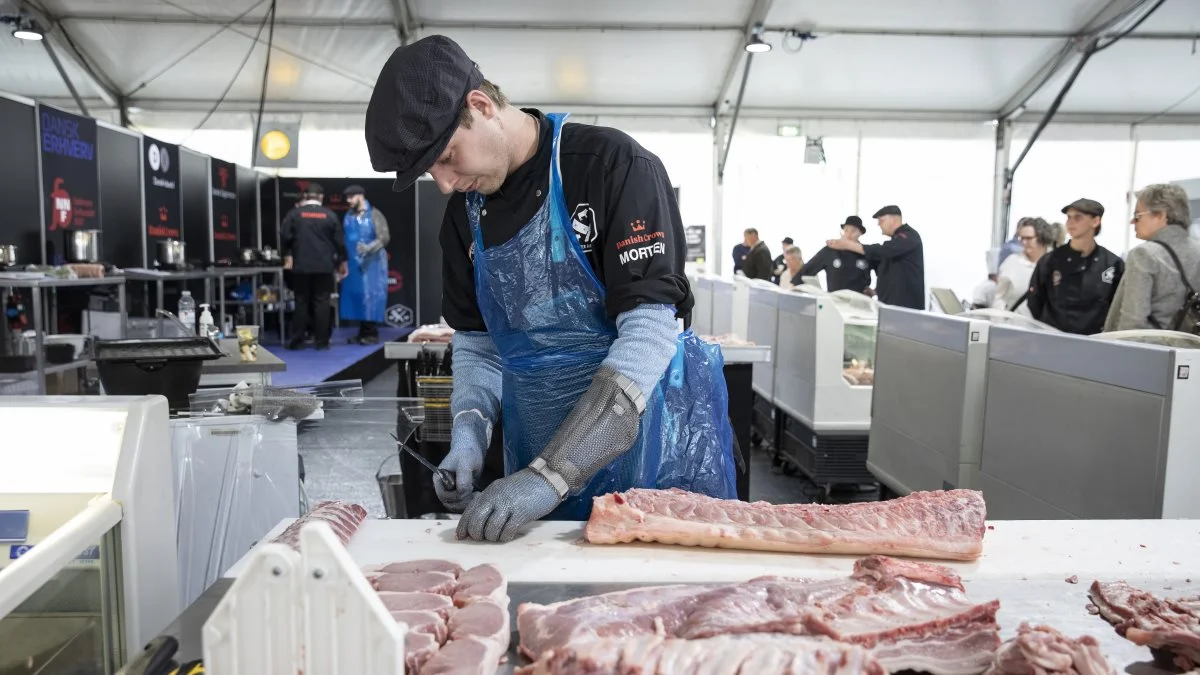 Foto: Søren Schnoor/SkillsDenmark