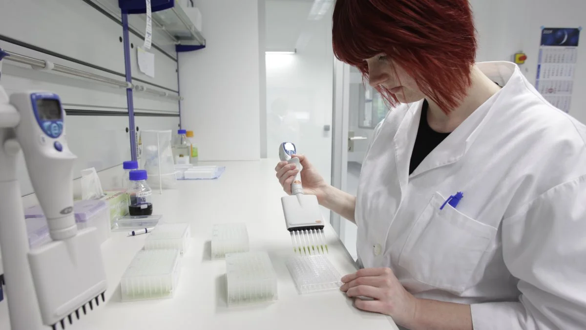 På Strubes laboratorium foretager Dr. Maria Koehler planteanalyser for de nye sorter. Foto: Strube Scandinavia ApS