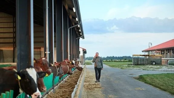 Ikke mindst energikrisen gør det relevant for landbrugene at sikre deres værdier på ejendommene, påpeger Alm. Brand. 