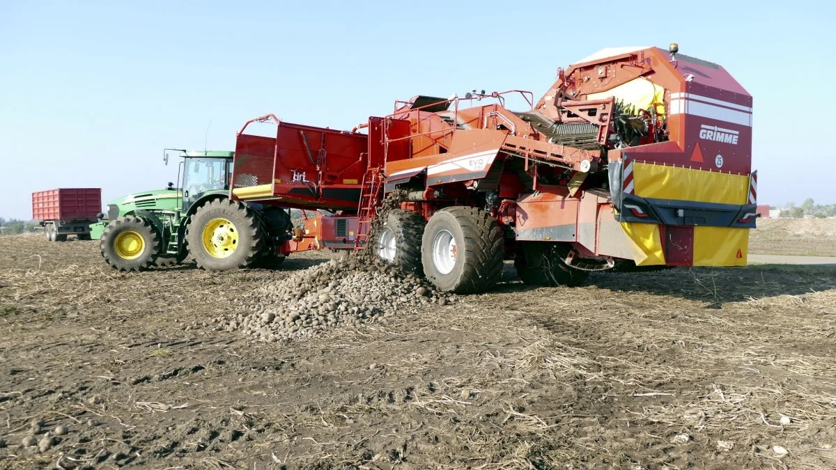 En kraftig luftblæser separerer sten og fugtige jordklumper fra i Grimme Evo 290 AirSep kartoffeloptageren. Som det fremgår, kan stenene herefter aflæsses for enden af marken. Arkivfoto: Bøje Østerlund    
  