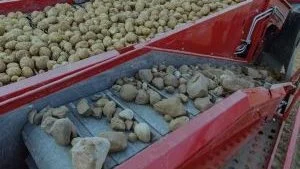 Med separationssystemet i Grimme-optageren kan stenstrenglægningen inden kartoffellægningen på visse jorde udelades. 