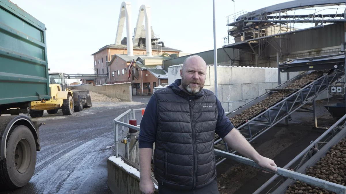 - Efter den fantastiske vækstsæson og en problemfri kampagne forventer vi, at de sidste kartofler er i hus den 16. december, siger agrochef Rasmus Trads, Karup Kartoffelmelsfabrik. Fotos: Erik Hansen