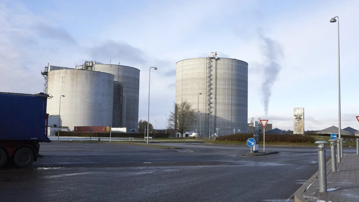 330 aktive kartoffelavlere samt 100 landmænd, som forpagter leveringsrettigheden ud, er ejere af Karup Kartoffelmelsfabrik A.m.b.A.