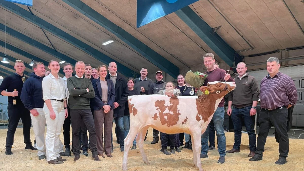 Avlsforeningen Dansk Holsteins auktion blev en vellykket affære. Højeste bud gik til en rødbroget kvie, hvis nye hjem fremover bliver på Sjælland. Her er den nye ejer foreviget sammen med opdrætter og teamet bag auktionen. Foto: Dansk Holstein